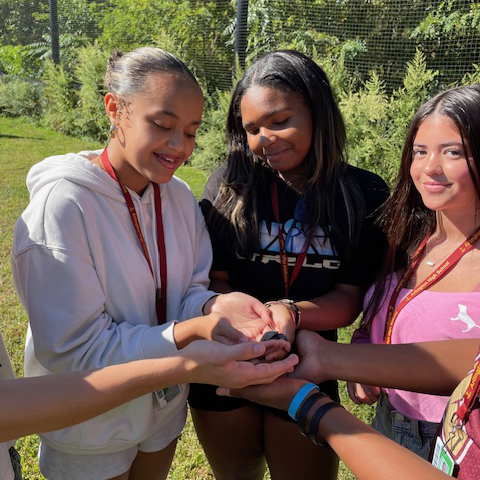 Students holding the Blanding's turtle hatchling.