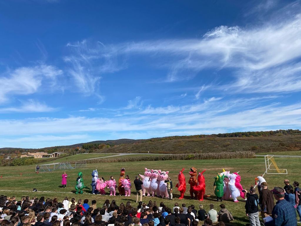 Inflatable race participants gathered on the start line