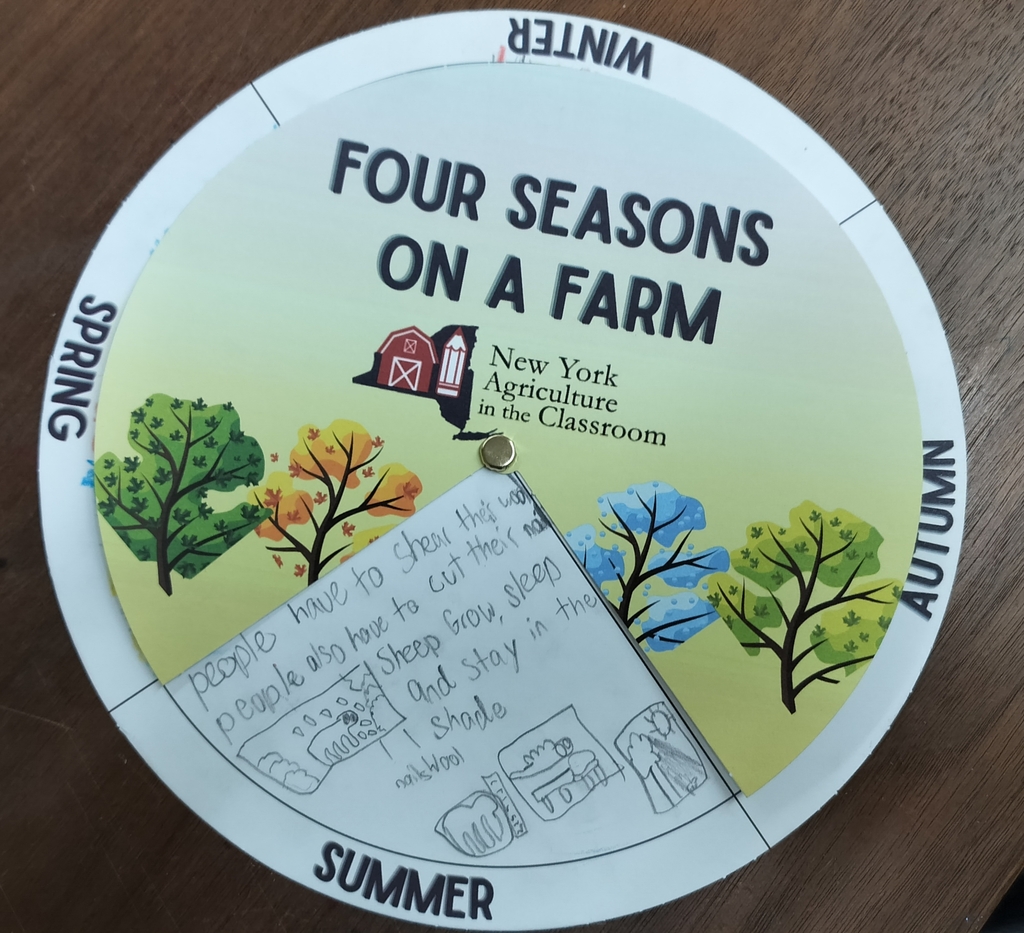 Four season on a Farm activity