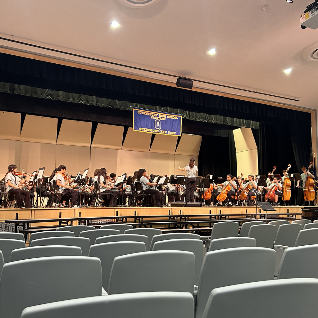 LMS 8th grade orchestra 