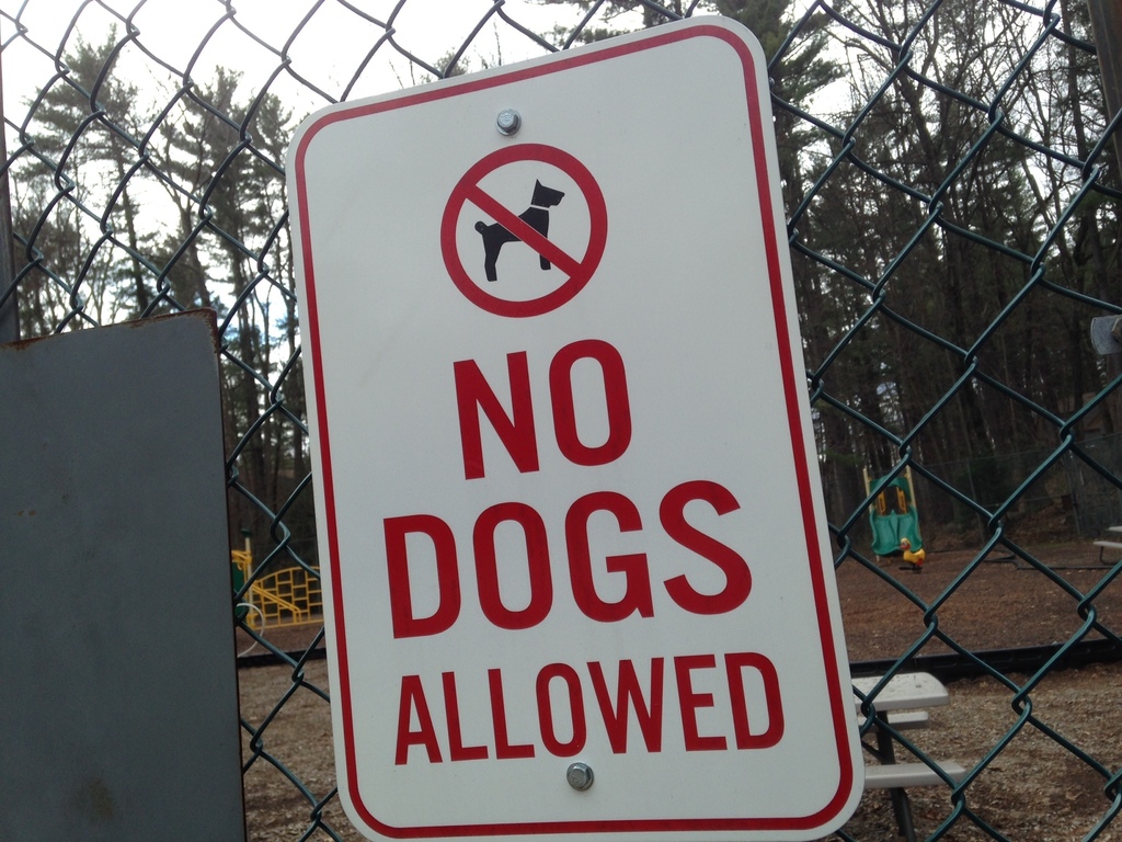 No dogs allowed