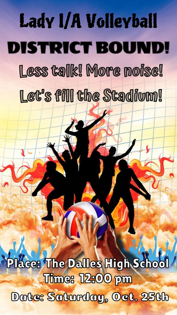 District Volleyball 2025