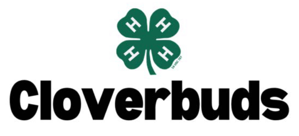4H Cloverbuds