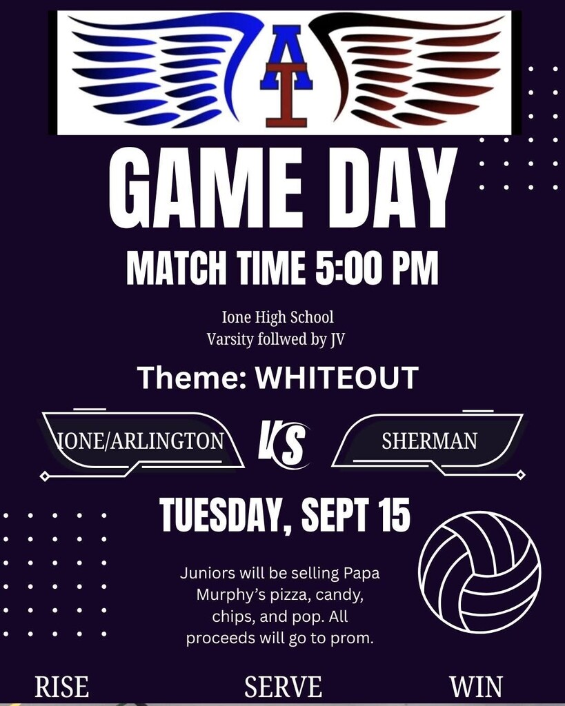 High school volleyball whiteout flyer