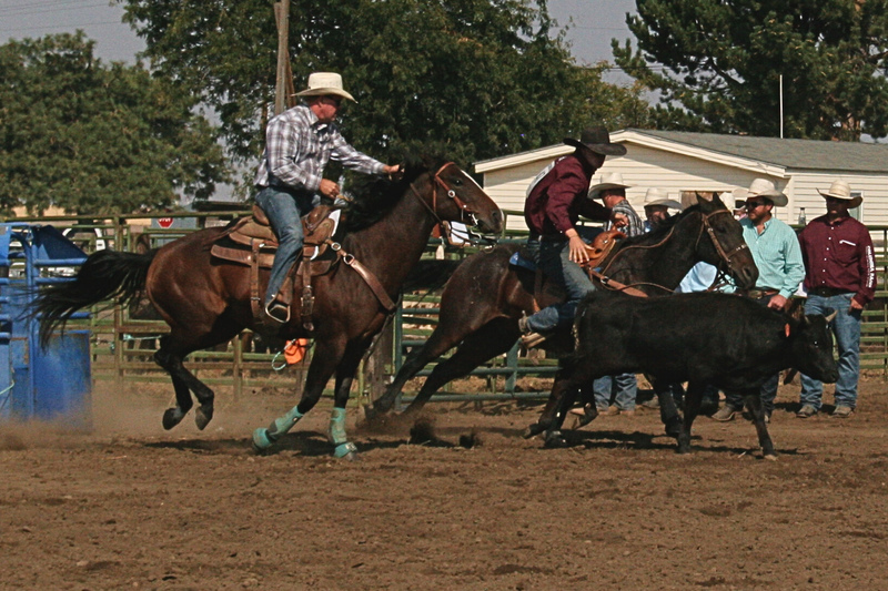 Rodeo 1