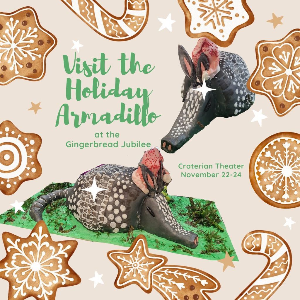 Holiday Armadillo