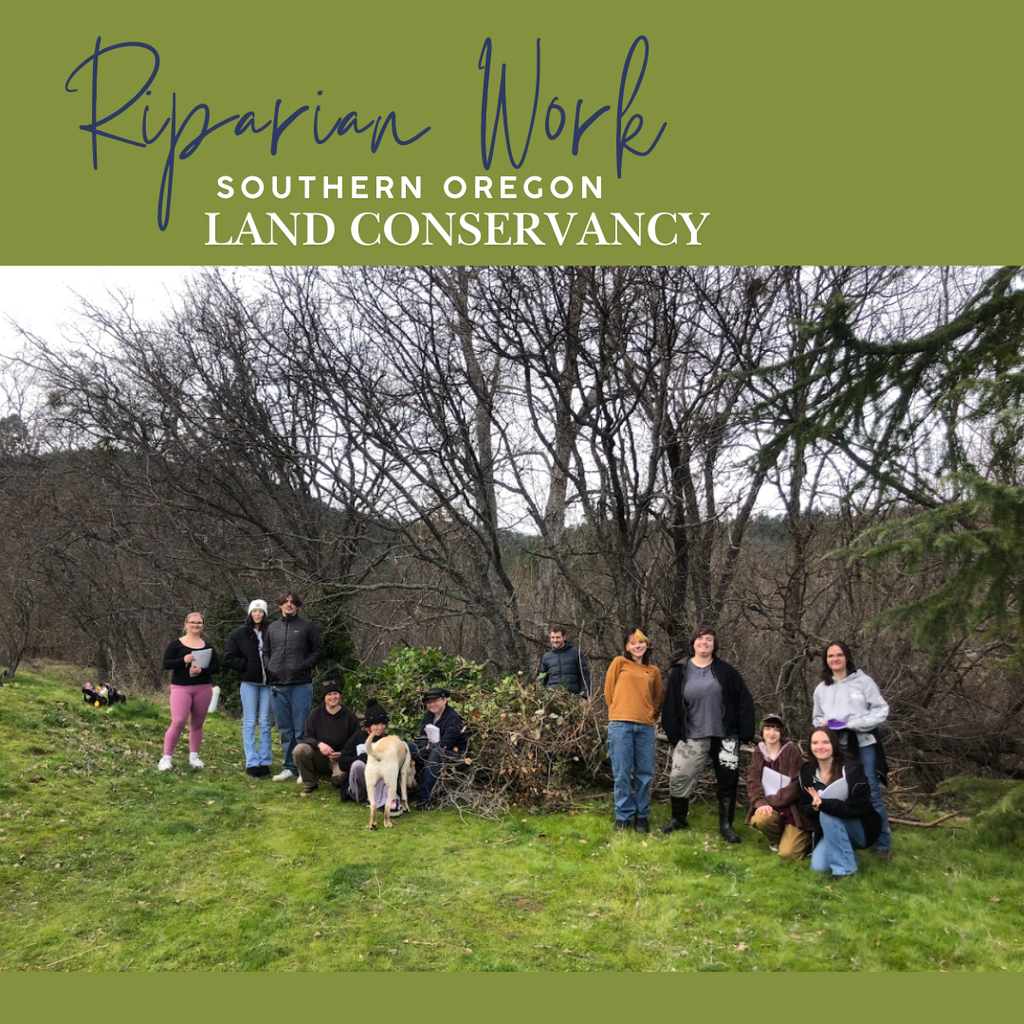 Students standing in front of a pile of pulled English Ivy