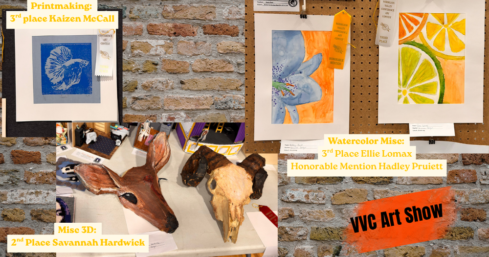 VVC art show results