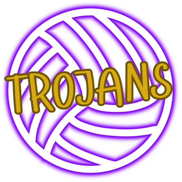 purple volleyball with Trojans in middle