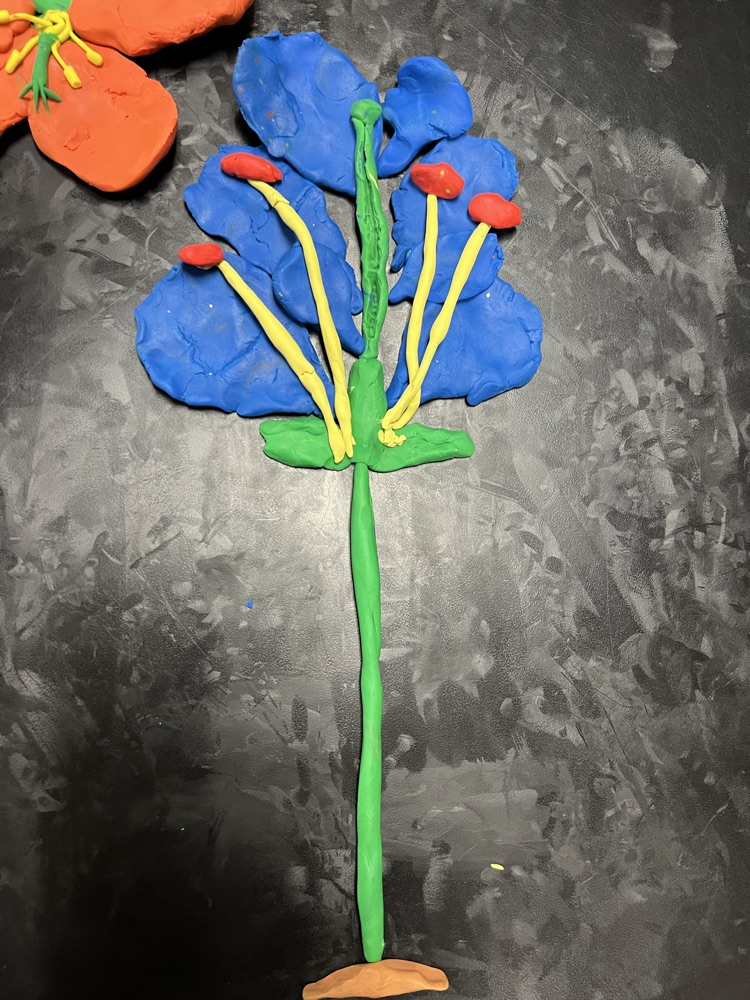 Flower Parts