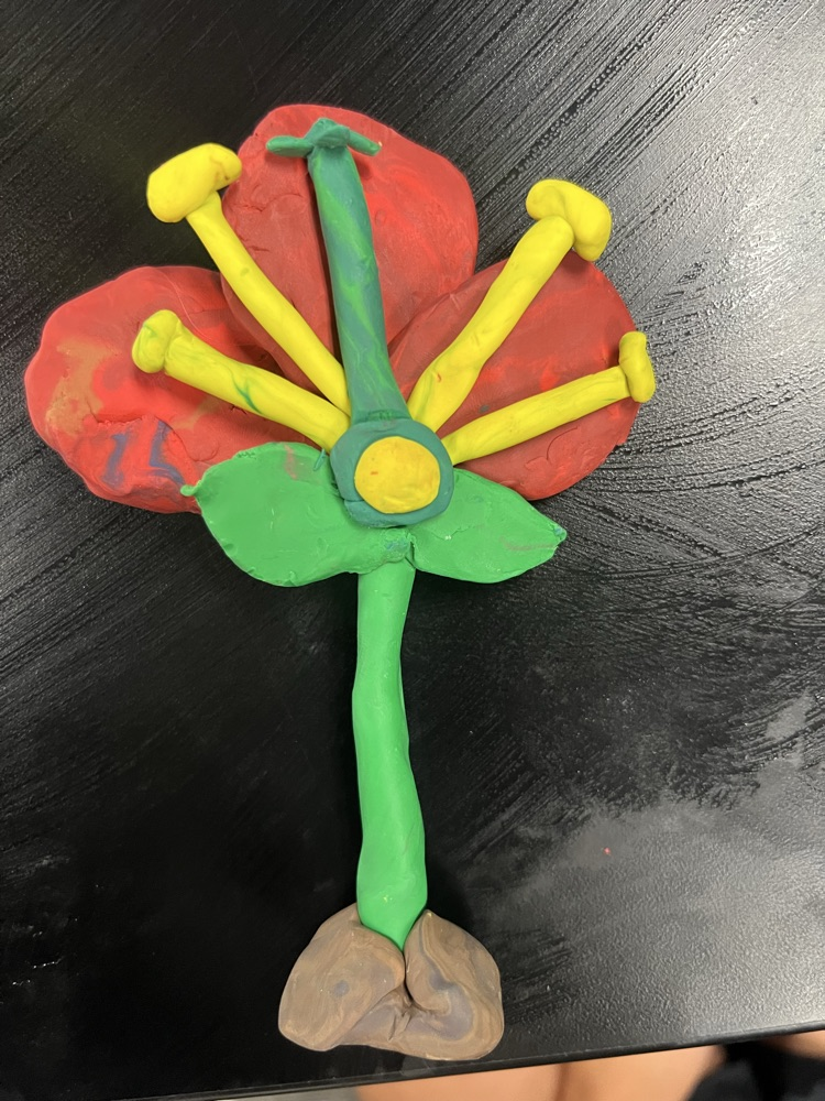 Flower Parts