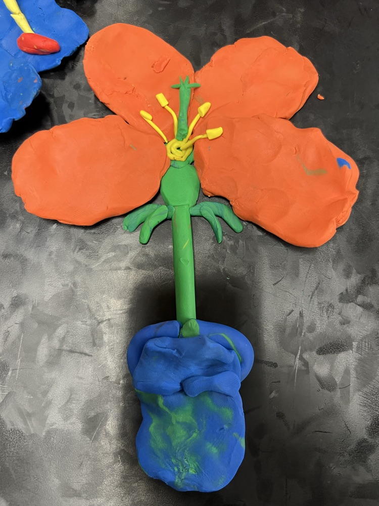 Flower Parts