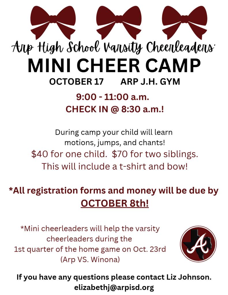mini cheer camp