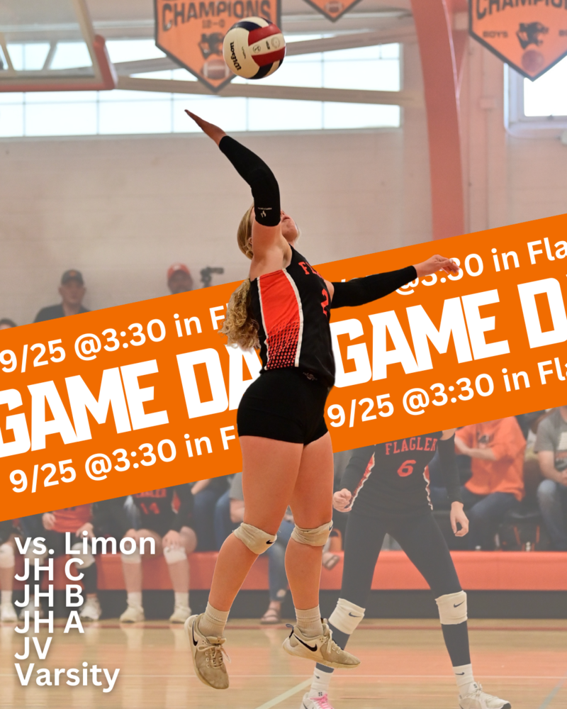 Volleyball vs Limon