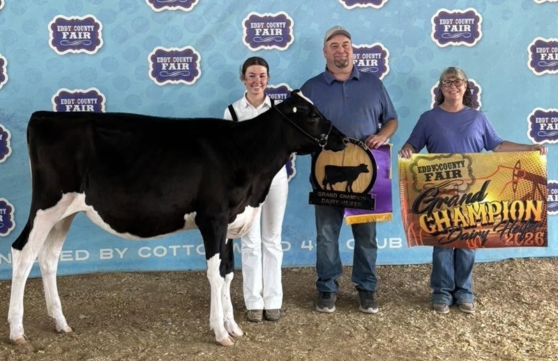 A teen girl stands next to a black-and-white cow while a man and woman hold banners beside her.