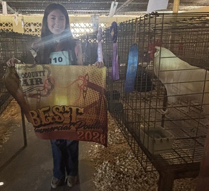 A teen girl stands in a barn filled with chickens in cages. She holds a banner in front of the cage of one chicken that is also adorned with ribbons.