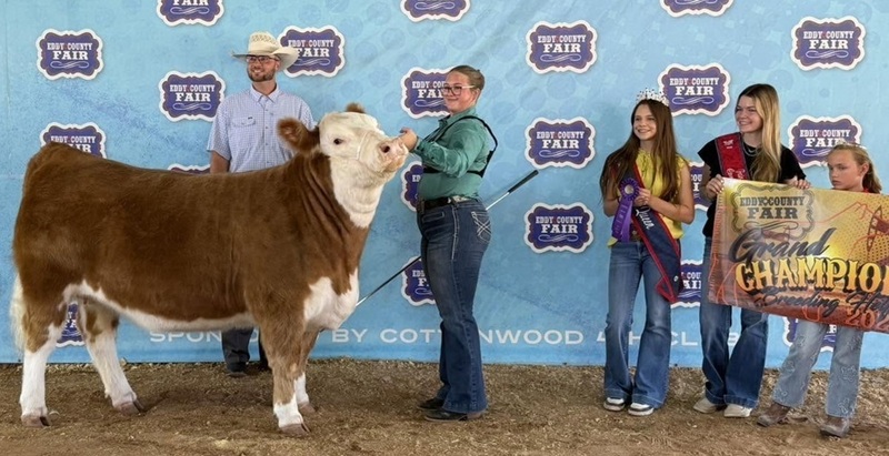 A teen girl stands beside a brown-and-white cow. A man stands behind the cow, and three girls stand to the side holding banners.