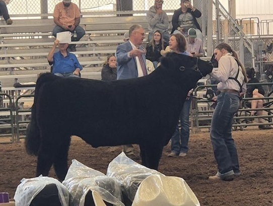 A teen girl in a white long-sleeved shirt and jeans holds the head of a large black steer as a man in a suit looks over it.