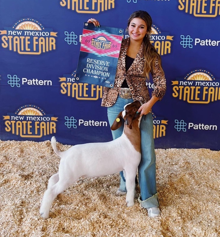 A teen girl in jeans and a leopard-print shirt holds the head of a goat as she holds a Division Reserve Champion banner.