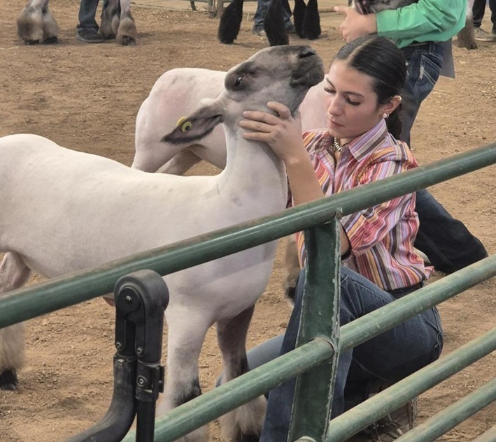 A teen girl in jeans and a striped shirt kneels as she holds the neck of a lamb in a show ring.