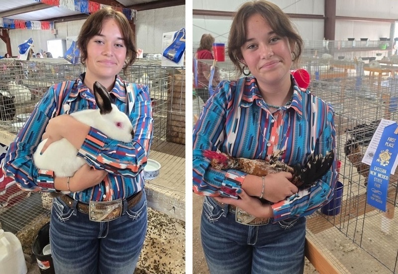 A teen girl holds a rabbit and a chicken in side-by-side photos.