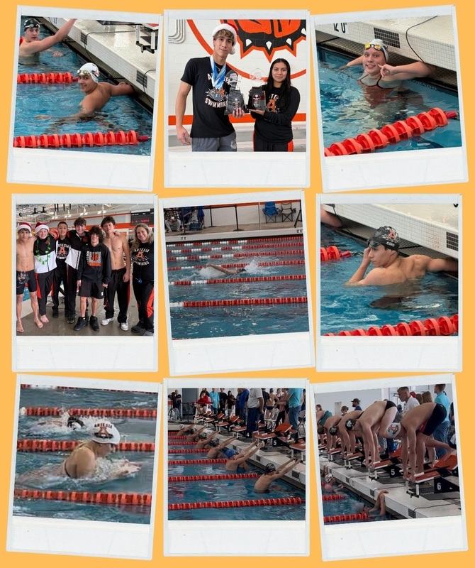 A collage of nine images shows members of the AHS swim teams posing out of the pool, swimming, and preparing for starts.