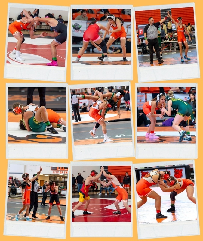 A collage of nine images show action shots of male and female wrestlers.