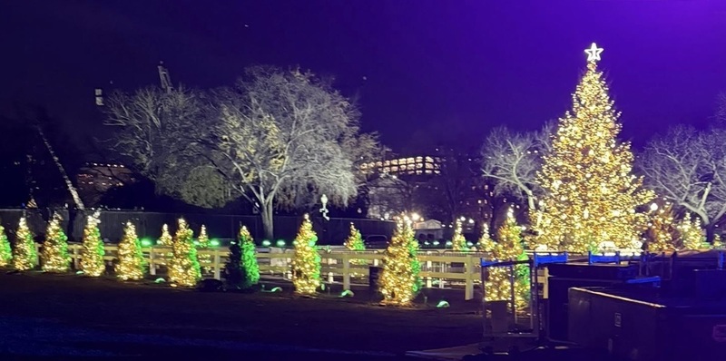 The National Christmas Tree is shown lit in front of the White House, surrounded by smaller trees representing the states and territories.