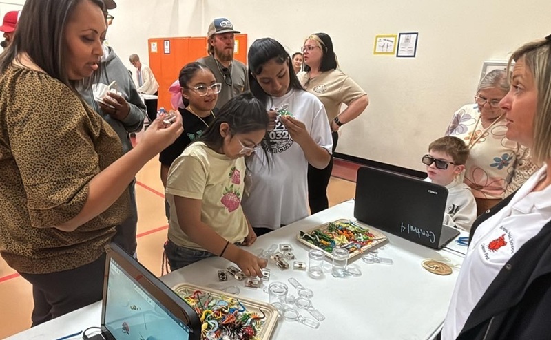 A woman and four children gather around a table manned by a female teacher. On the table sit plates of colorful plastic bugs.