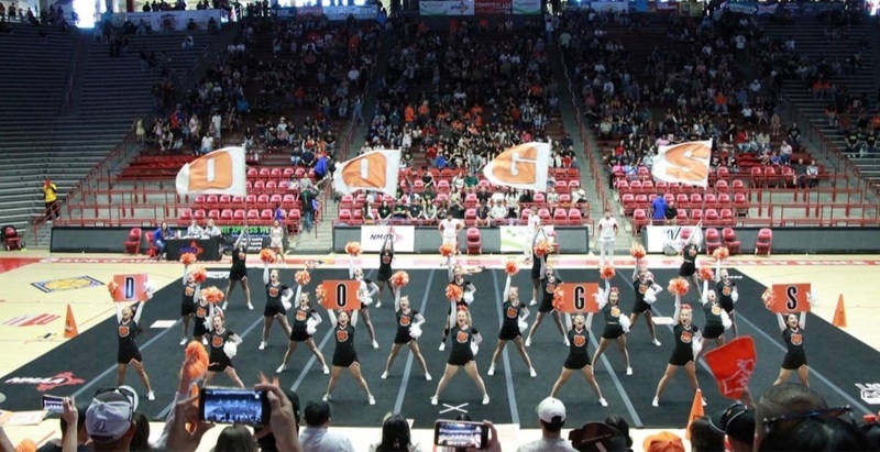 Cheerleaders hold up signs and flags reading "DOGS".