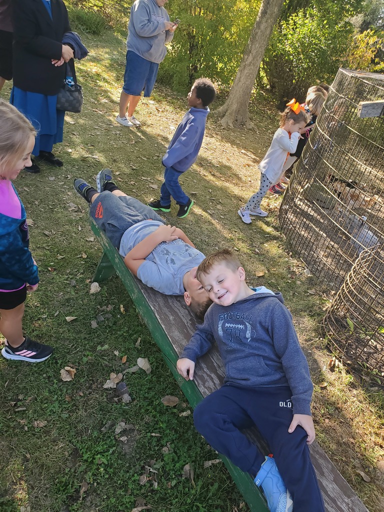Pumpkin patch