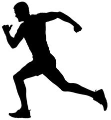 Track