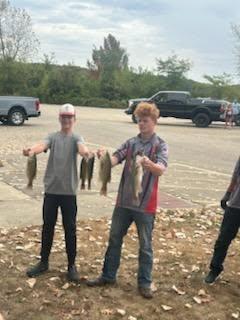Fish