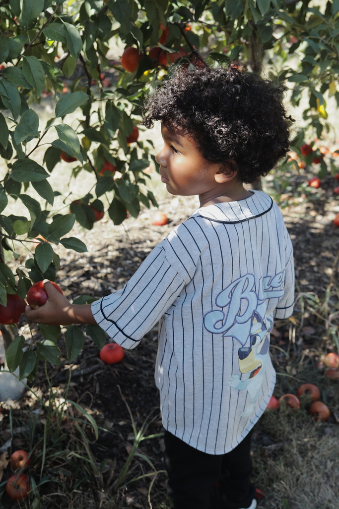 Picking apples