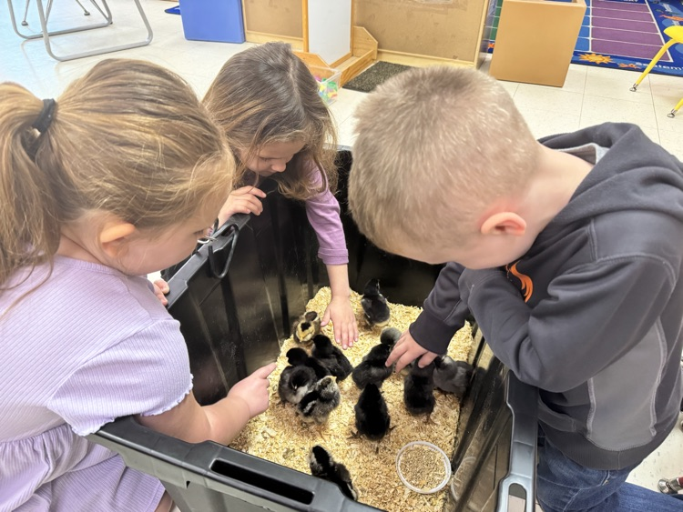 prek