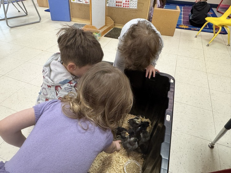 prek