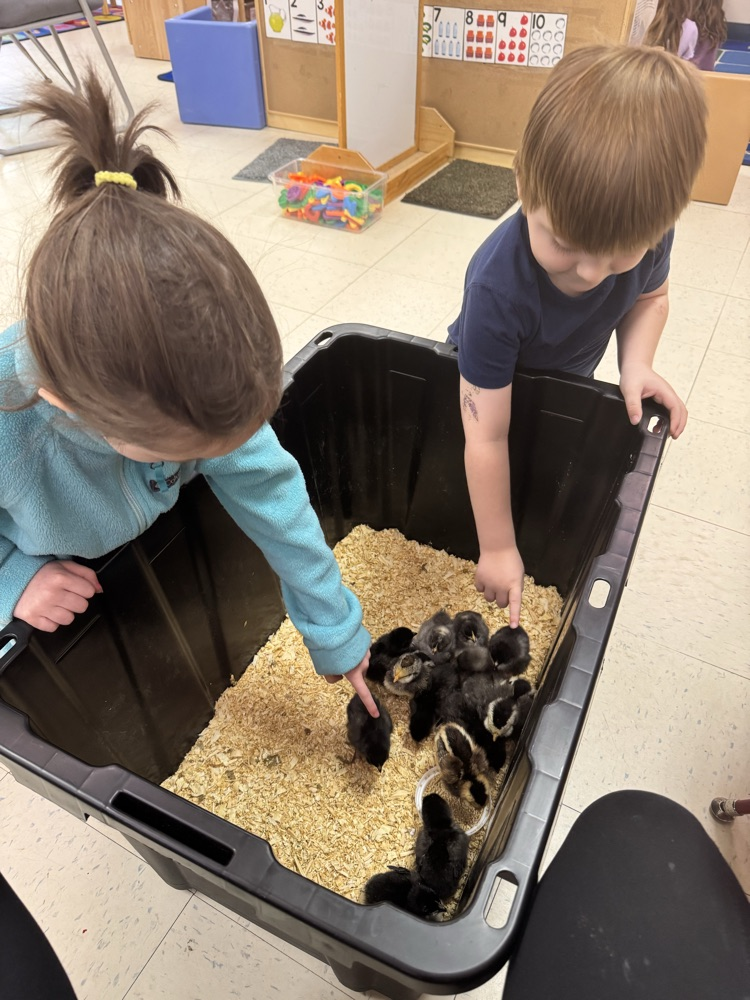 prek
