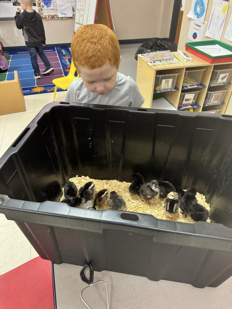 prek