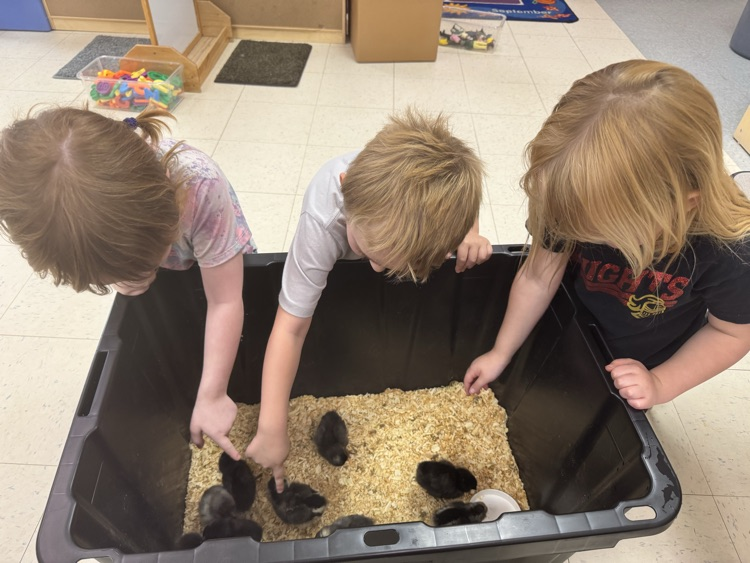 prek