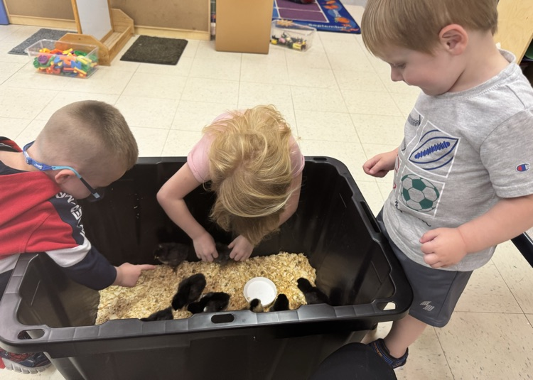 prek