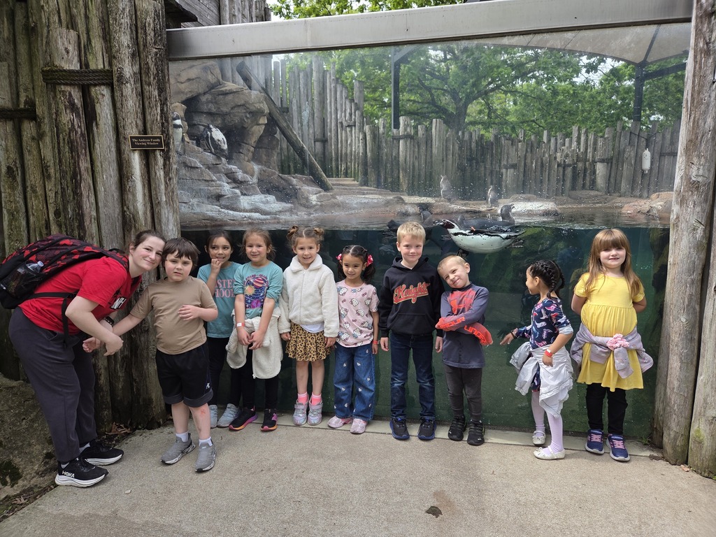 Fun at the zoo