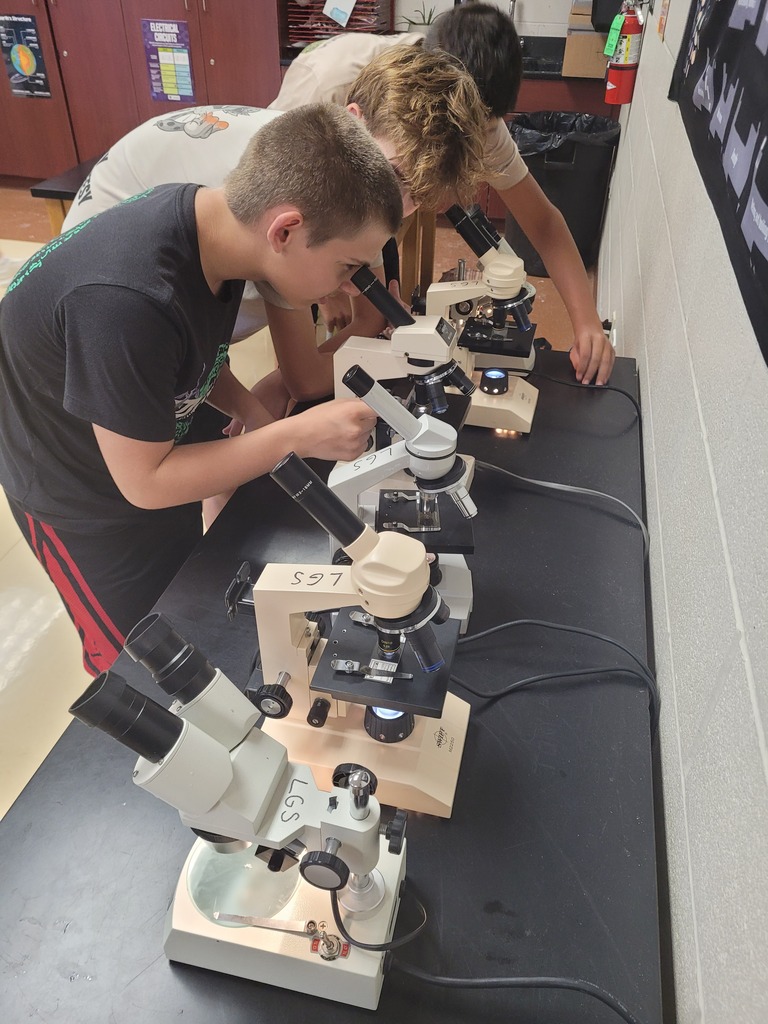 8th graders using the microscopes