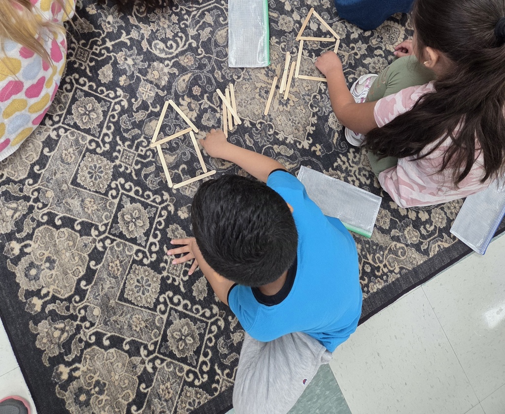using popsicle sticks in math