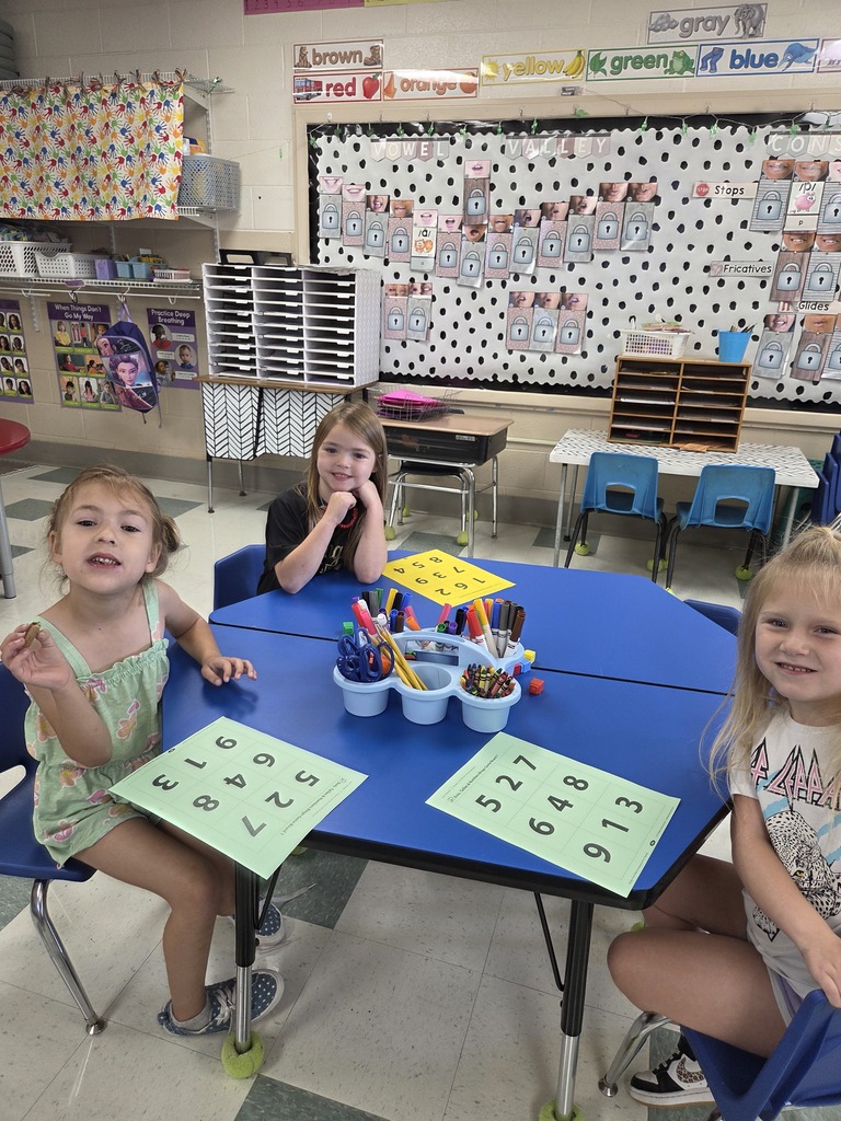 Bingo Fun