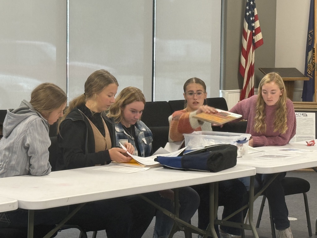 Looking through the activity materials. 