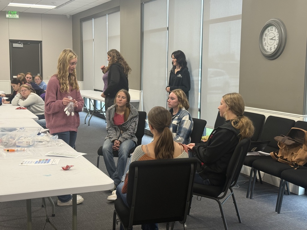 Presenting our activity