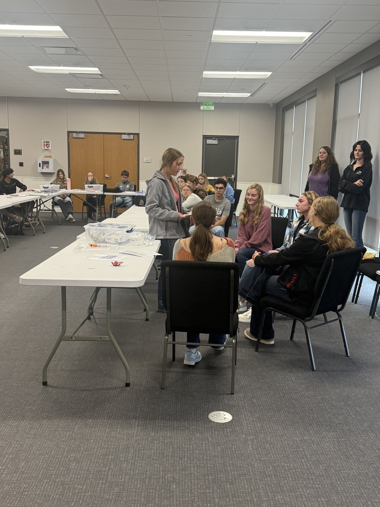 Presenting our activity