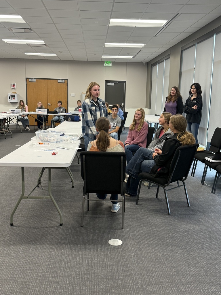 Presenting our activity