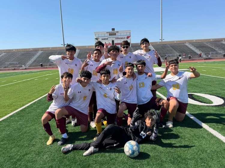 soccer DHS boys group picture