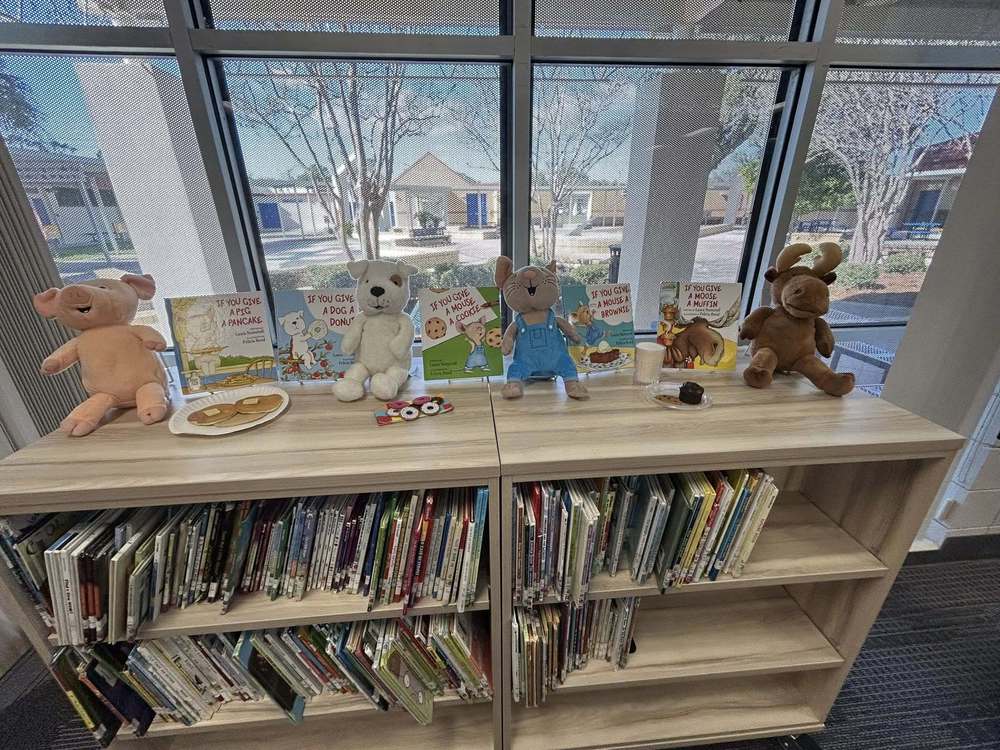 Dolls from books on display